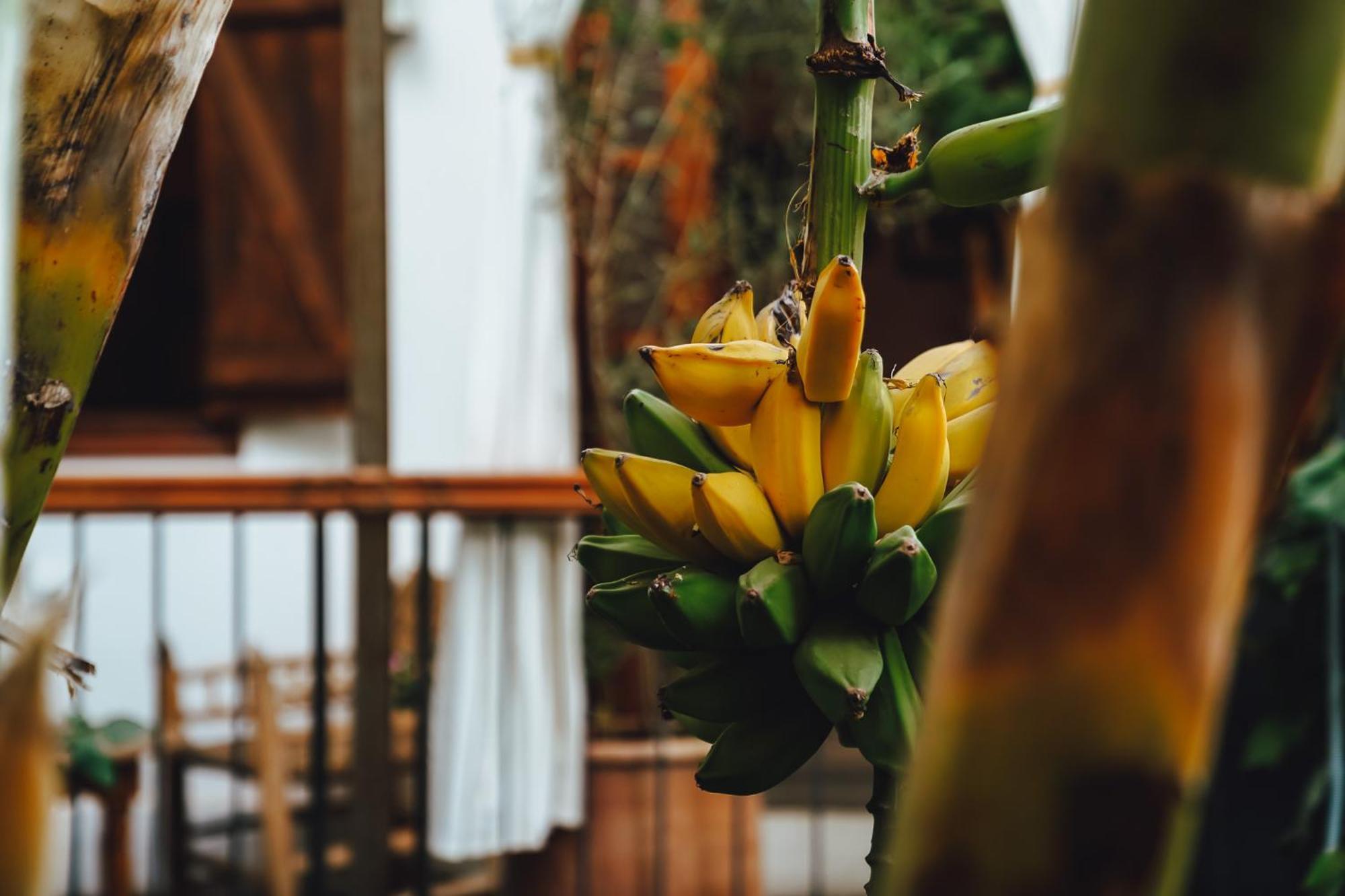 La Ferme Medina Hotel มาร์ราเกช ภายนอก รูปภาพ
